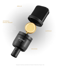 Load image into Gallery viewer, A131 Large Diaphragm Studio Microphone
